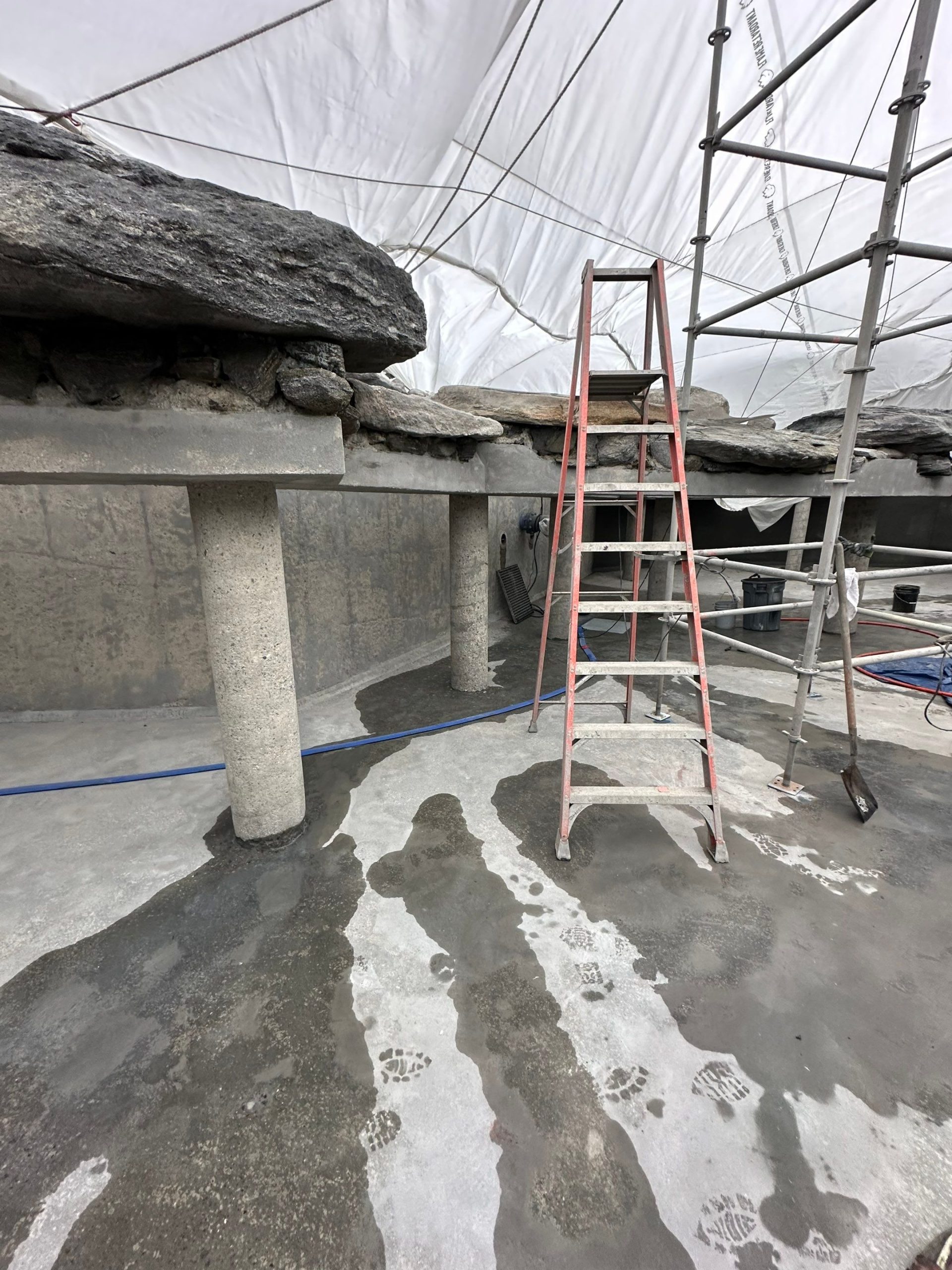 Marine Conservation- Sea Lion and Penguin Exhibit Restoration Enhancing Visitor Experience Through Expert Aquatic Habitat Restoration 17