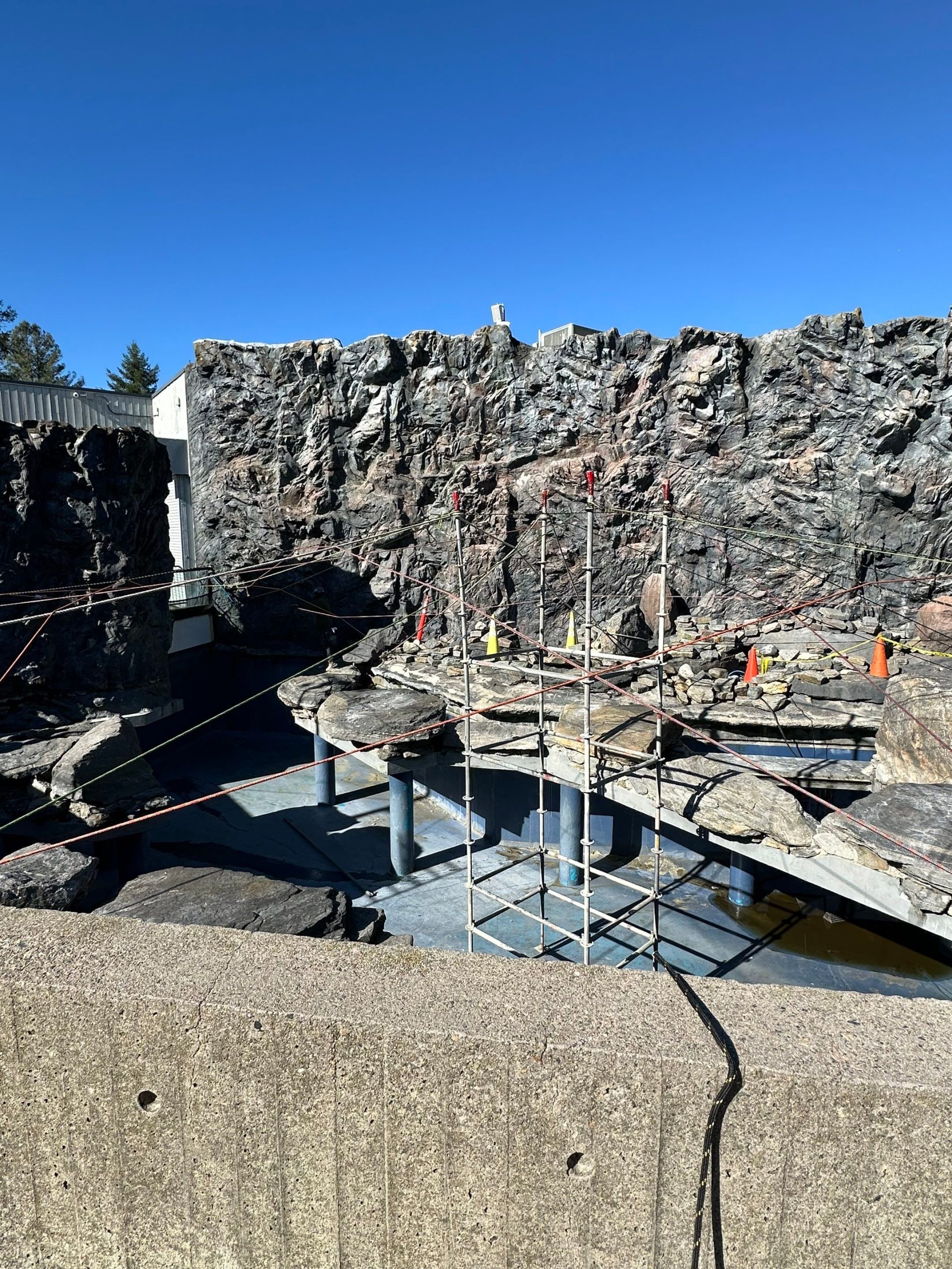Marine Conservation- Sea Lion and Penguin Exhibit Restoration Enhancing Visitor Experience Through Expert Aquatic Habitat Restoration 17