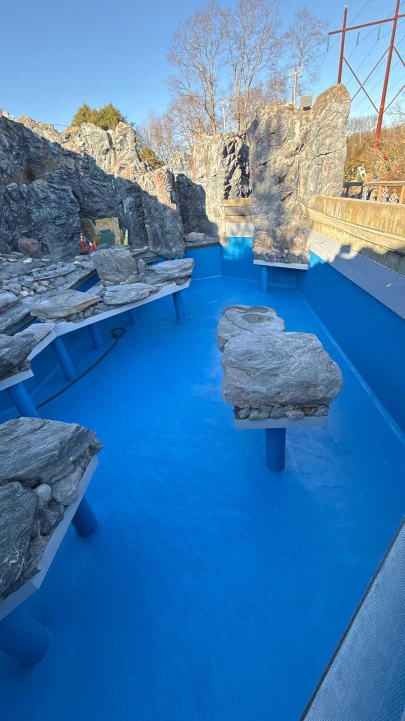 Marine Conservation- Sea Lion and Penguin Exhibit Restoration Enhancing Visitor Experience Through Expert Aquatic Habitat Restoration 17
